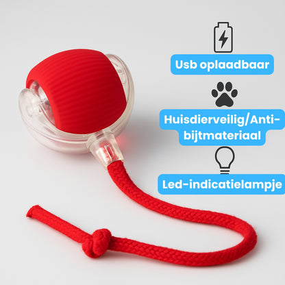 TailSpin™ - Altijd in voor een speelmoment.