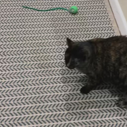 TailSpin™ - Altijd in voor een speelmoment.